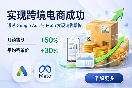 跨境电商广告投放成功案例